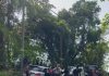 Serious Accident on North Coast Road Highlights Safety Concerns