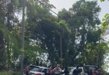 Serious Accident on North Coast Road Highlights Safety Concerns
