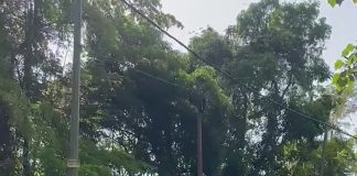 Serious Accident on North Coast Road Highlights Safety Concerns