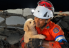 Dog Named Giselle Rescued After Five Days Trapped in Venezuelan Earthquake Rubble