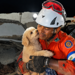 Dog Named Giselle Rescued After Five Days Trapped in Venezuelan Earthquake Rubble