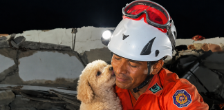 Dog Named Giselle Rescued After Five Days Trapped in Venezuelan Earthquake Rubble