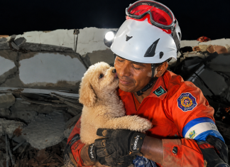 Dog Named Giselle Rescued After Five Days Trapped in Venezuelan Earthquake Rubble