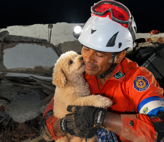 Dog Named Giselle Rescued After Five Days Trapped in Venezuelan Earthquake Rubble