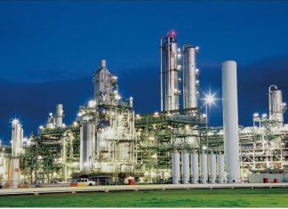 Ex-PM Young Blames Administration for Indefinite Shutdown of Methanex Plant
