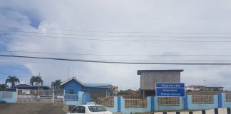 Signal Hill Government Primary School Student Tops Tobago’s 2026 Secondary Entrance Assessment