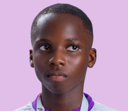 Teenage Nigerian Innovator Builds AI Platform, Attracts Global Attention