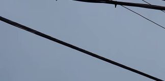 Outrage Over Dangerous Roof Pressure Washing Video