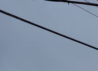 Outrage Over Dangerous Roof Pressure Washing Video