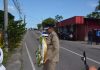 Commissioner Guevarro Honors Slain Officer at Coup Anniversary Ceremony