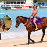 Healing With Horses Offers Unique Wellness Experience in Tobago