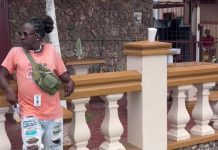 Tobago Summer Not Summering, Piggy says