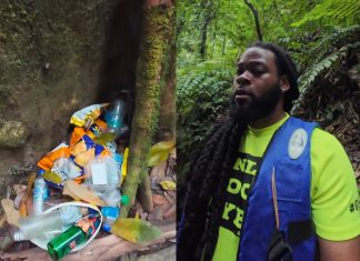 Rebel Rango Calls for Action Against Littering in Trinidad