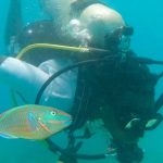 Overfishing Cripples Parrotfish, Threatening Jamaica’s Coral Reefs