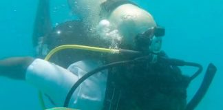 Overfishing Cripples Parrotfish, Threatening Jamaica’s Coral Reefs