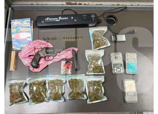 Tobago Police Seize Firearm, Ammo, and Cannabis in Intelligence-Led Operation; One Arrested