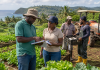 TobaGrow Loan Facility Launched to Boost Agricultural Investment in Tobago