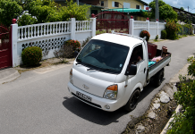 Driver Allegedly Deliberately Strikes Dog, Sparks Outrage Online
