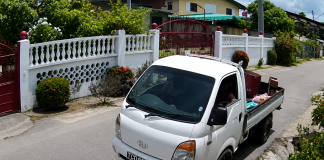 Driver Allegedly Deliberately Strikes Dog, Sparks Outrage Online