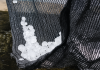 Unusual Hailstorm Surprises Santa Cruz Residents