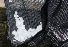 Unusual Hailstorm Surprises Santa Cruz Residents
