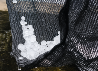 Unusual Hailstorm Surprises Santa Cruz Residents