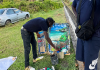 Tobago Artist’s Livelihood in Peril as Trees Cut Down Without Notice