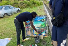 Tobago Artist’s Livelihood in Peril as Trees Cut Down Without Notice
