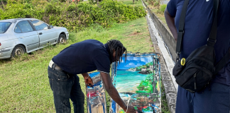 Tobago Artist’s Livelihood in Peril as Trees Cut Down Without Notice