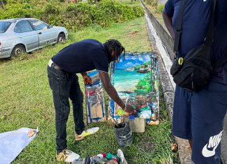 Tobago Artist’s Livelihood in Peril as Trees Cut Down Without Notice