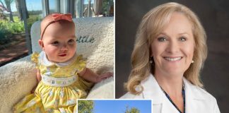 Tragic Oversight: Kentucky Grandmother Leaves Baby in Hot Car for Eight Fatal Hours