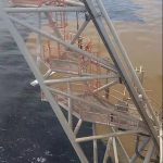 Sargassum Seaweed Crisis: Fishermen’s Livelihoods Under Threat in Trinidad
