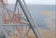 Sargassum Seaweed Crisis: Fishermen’s Livelihoods Under Threat in Trinidad