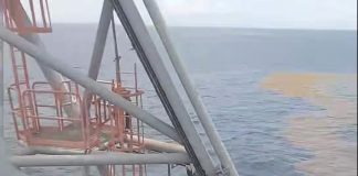 Sargassum Seaweed Crisis: Fishermen’s Livelihoods Under Threat in Trinidad