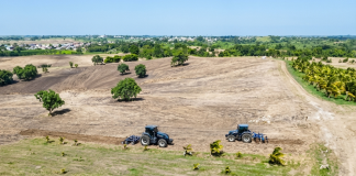 Residents Demand Answers as Sugarcane Lands Are Cleared for A.I Development Project