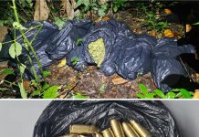 Police Operation in Matelot Seizes TT$1.53M Worth of Cannabis and Ammunition