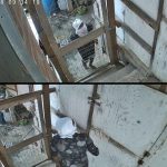 Pointe-a-Pierre Residents Demand Action Amid Alleged Break-Ins and Theft Concerns