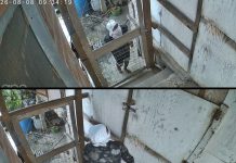 Pointe-a-Pierre Residents Demand Action Amid Alleged Break-Ins and Theft Concerns