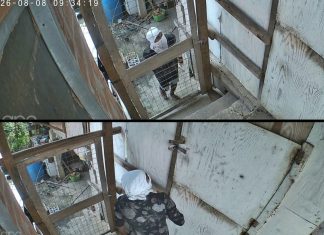 Pointe-a-Pierre Residents Demand Action Amid Alleged Break-Ins and Theft Concerns
