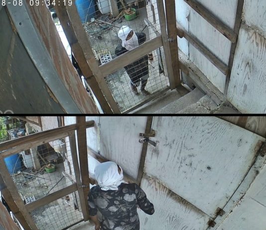 Pointe-a-Pierre Residents Demand Action Amid Alleged Break-Ins and Theft Concerns