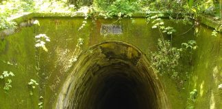 Legacy of Knollys Tunnel: Trinidad’s Historical Railway Landmark Celebrates 128 Years