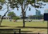 Stuart Young Questions Construction Activity at Queen’s Park Savannah, Demands Government Explanation