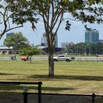 Stuart Young Questions Construction Activity at Queen’s Park Savannah, Demands Government Explanation