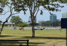 Stuart Young Questions Construction Activity at Queen’s Park Savannah, Demands Government Explanation