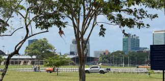 Stuart Young Questions Construction Activity at Queen’s Park Savannah, Demands Government Explanation