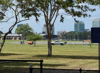 Stuart Young Questions Construction Activity at Queen’s Park Savannah, Demands Government Explanation