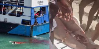 Two Women Killed in Boating Incident During Grenada’s Spicemas Celebrations