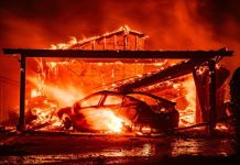 Woman Admits to Burning Ex’s House, Yet Seeks Reconciliation
