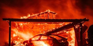 Woman Admits to Burning Ex’s House, Yet Seeks Reconciliation