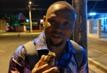 Nigerian Man Living in Trinidad Takes Giant African Snail Home to Cook, Cannot Believe Locals Waste ‘Good Meat’